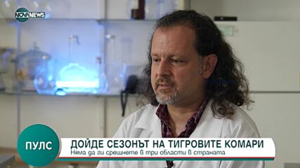 Къде се срещат тигровите комари у нас