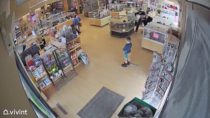 Жена симулира припадък в зоомагазин, съучастниците ѝ откраднаха две кученца