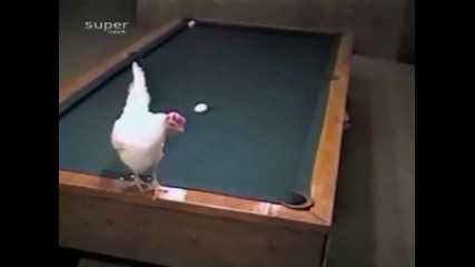 Кокошка вкарва 