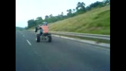 whelie dominican hector 