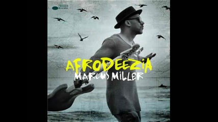 Marcus Miller - Afrodeezia (2015) full album