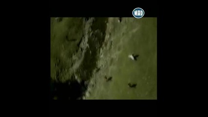 Nikos Vertis - Mono Gia Sena.flv