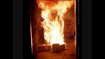 Cledus T. Judd - Trees on Fire 