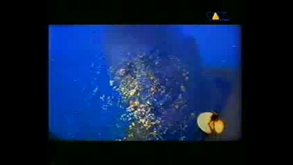 C - Block - Broken Wings
