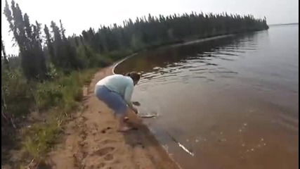 Рибари пускат щука, но друга щука я напада