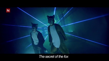 Ylvis - The Fox ( What does the Fox say ) ( Official Video )