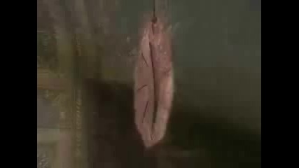 Charmed Season 8 Credit