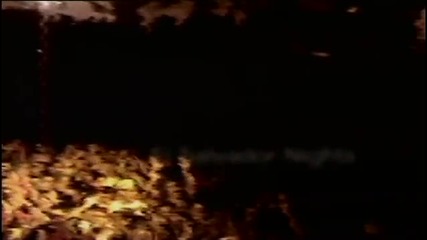 Atb - L. A. Nights ( Official Video )