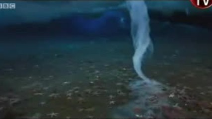 Olumun Dokunusu Turkce Dublaj Belgesel Film Yonetmen 2017 Hd