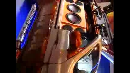 Crazy Bass