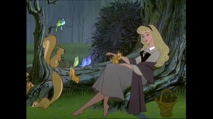 I wonder from 'sleeping Beauty'