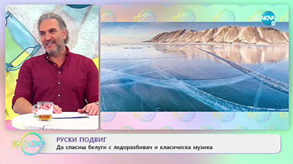 Руски ледоразбивач спаси белуги с класическа музика - „На кафе” (09.04.2021)