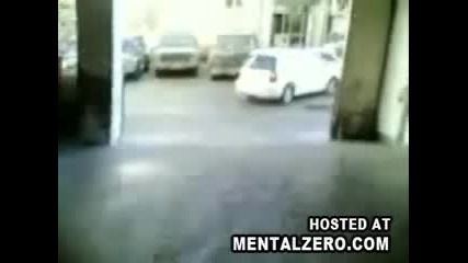 бъзици с котки (смех) 