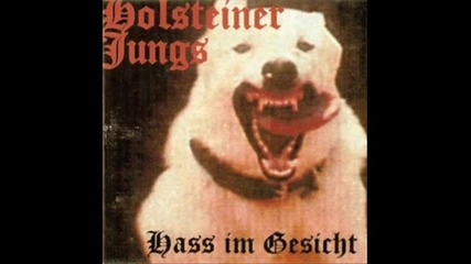 Holsteiner Jungs - Punk ist tot