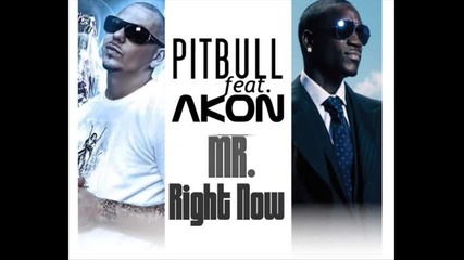 Pitbull Ft. Akon - Mr. Right Now