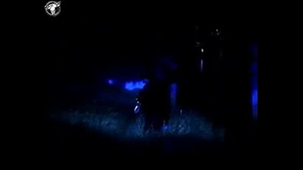Down Low - Moonlight