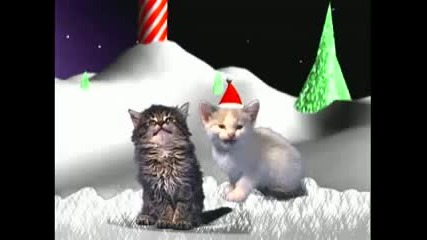 Котки пеят Коледна песен