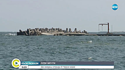 "КЪСИ РАЗКАЗИ": ЛУДИ МЕЧТИ - Да гледаш стриди в Черно море
