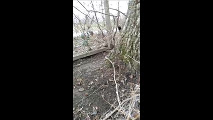 Vid_20180225_142838