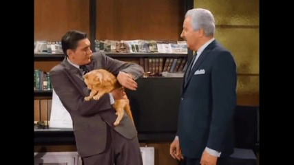 Bewitched S2e35 - The Catnapper