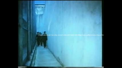 The Who - Mcvicar