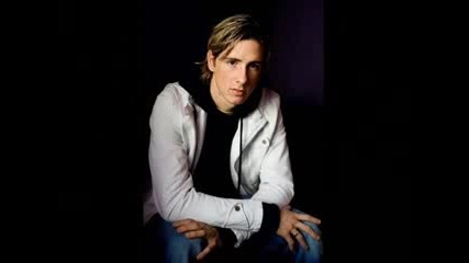 Fernando Torres - The Best