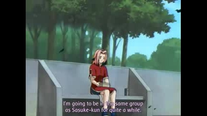 AmV SaKuRa_HaRuNo