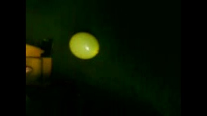 Мопс се страхува от балон