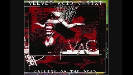 Velvet Acid Christ - Timeless Visions