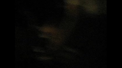 Loop Live 2009 