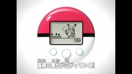 Pokemon Heart Gold and Soul Silver 