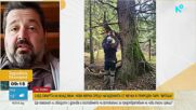 След смъртта на турист: Нови мерки срещу нападенията от мечки в Природен парк „Витоша“