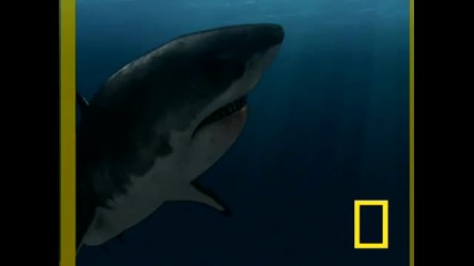 Невероятно...sea Monsters 2