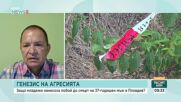 Генезис на агресията: Защо младежи нанесоха побой до смърт на 37-годишен мъж в Пловдив