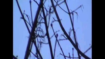 Ufo's from Russia, Moscow 04.04.2011