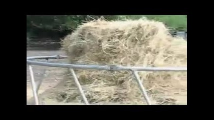 8 Минути Доза Смях!!... ) Vbox7 