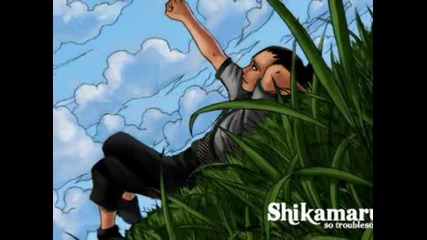 Много Яко amw За Shikamaru