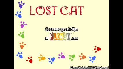 The Lost Cat 