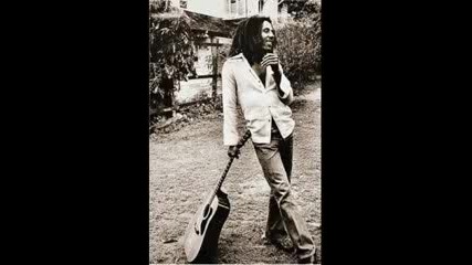 Bob Marley - Punky Reggae Party 