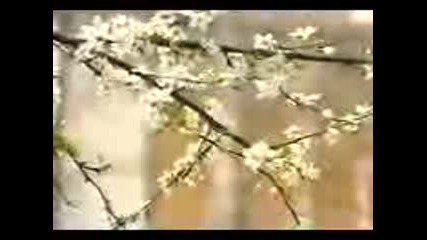 Глория Моя Земна Съдба.-240p