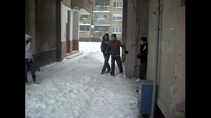 Deiba typanarite mu deiba 