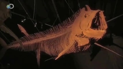 Mega Beasts - Sea of Killers - 9 13 @ 9pm E P on Discovery