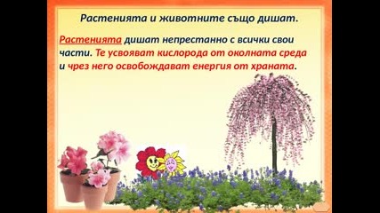 жизнени процеси при растенията и животните