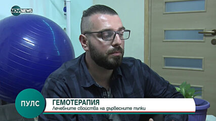 ГЕМОТЕРАПИЯ: Лечебните свойства на дървесните пъпки