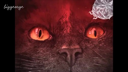 Mladen Tomic - Positions ( Original Mix ) [high quality]