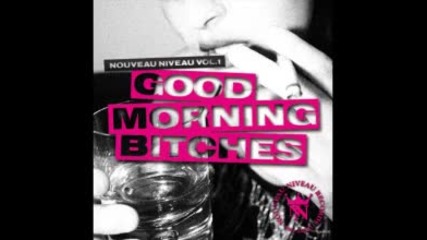 good morning bitches mixed by tom novy