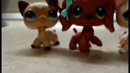 lps mv-bop bop
