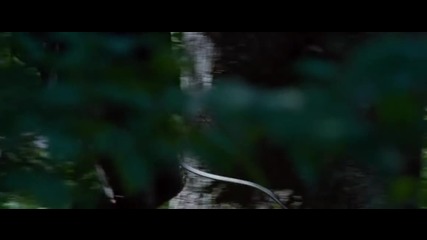 [2/2] Игрите на глада [2012] + Бг Аудио /the Hunger Games + Bg Аudio