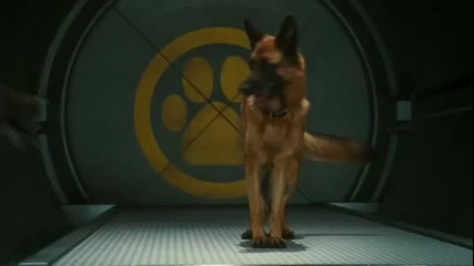 Cats Dogs The Revenge of Kitty Galore Trailer 