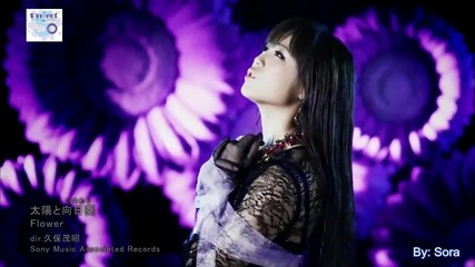 Flower - Taiyou to Himawari (sun and Sunflower)